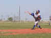 Baseball 1-17.jpg (52635 bytes)