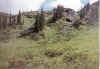 Colorado_06.jpg (12277 bytes)